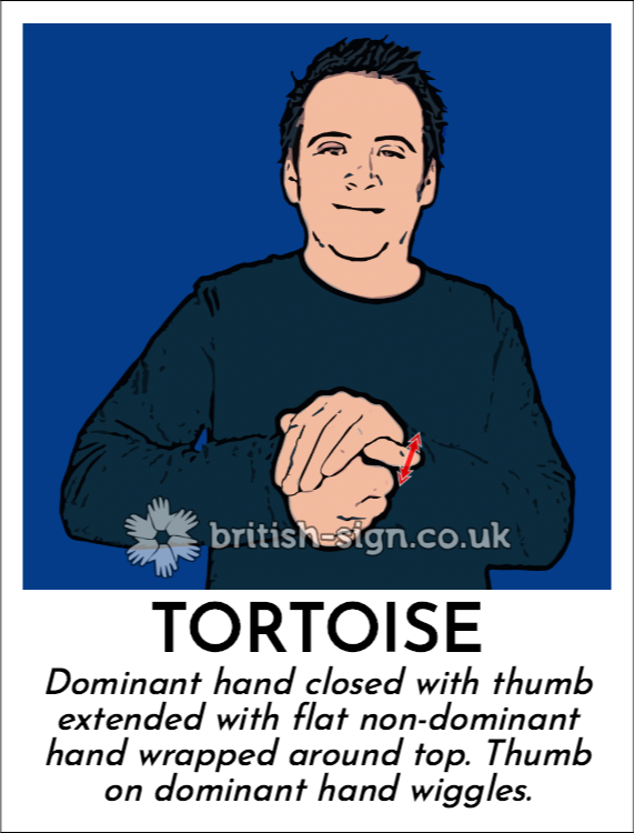 Tortoise: Dominant hand closed with thumb extended with flat non-dominant hand wrapped around top. Thumb on dominant hand wiggles.